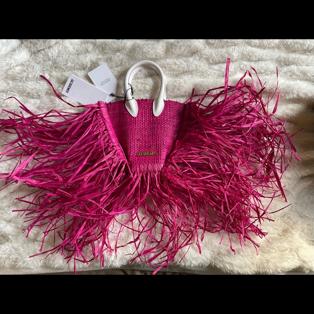 Jacquemus  bag from Kylie Jenner closet